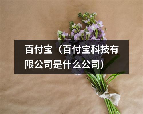 百付宝(百付宝科技有限公司是什么公司)