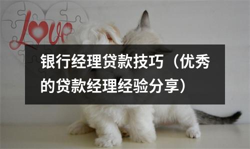 银行经理贷款技巧（优秀的贷款经理经验分享）