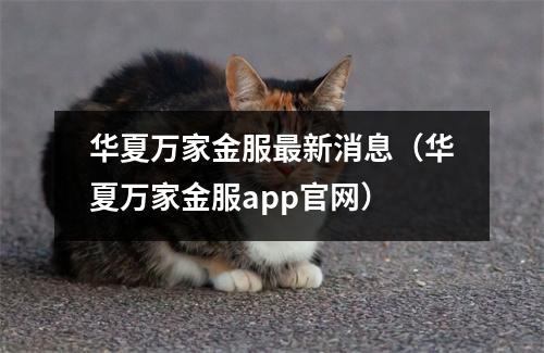 华夏万家金服最新消息（华夏万家金服app官网）