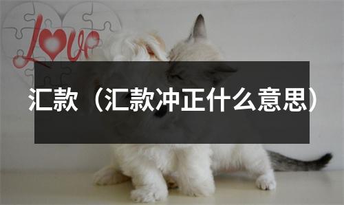 汇款(汇款冲正什么意思)