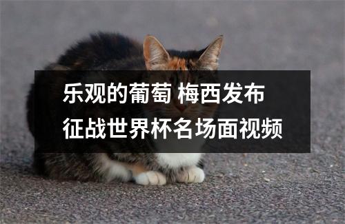 乐观的葡萄 梅西发布征战世界杯名场面视频