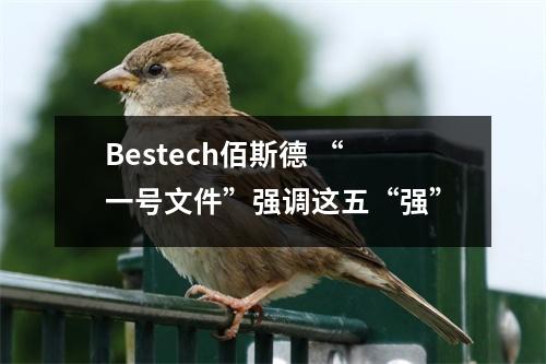 Bestech佰斯德 “一号文件”强调这五“强”