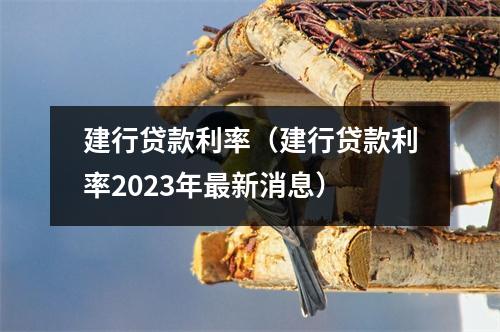 建行贷款利率（建行贷款利率2023年最新消息）