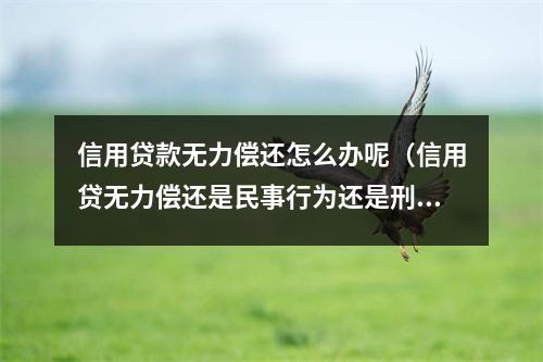 信用贷款无力偿还怎么办呢(信用贷无力偿还是民事行为还是刑事行为)