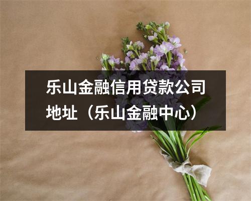 乐山金融信用贷款公司地址（乐山金融中心）