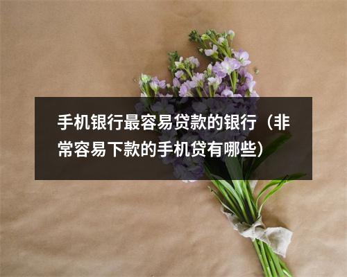 手机银行最容易贷款的银行（非常容易下款的手机贷有哪些）