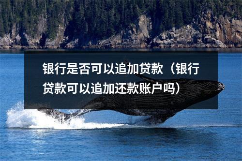 银行是否可以追加贷款（银行贷款可以追加还款账户吗）