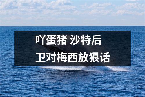 吖蛋猪 沙特后卫对梅西放狠话