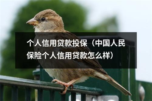 个人信用贷款投保（中国人民保险个人信用贷款怎么样）