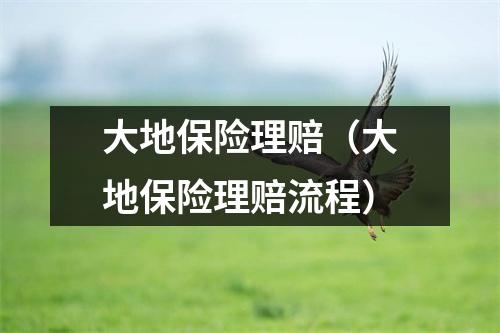 大地保险理赔（大地保险理赔流程）