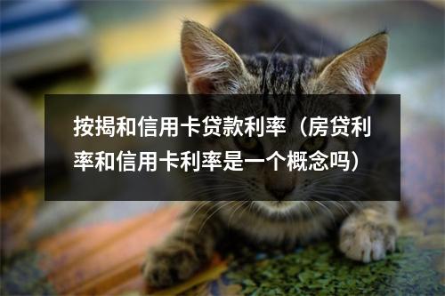 按揭和信用卡贷款利率（房贷利率和信用卡利率是一个概念吗）
