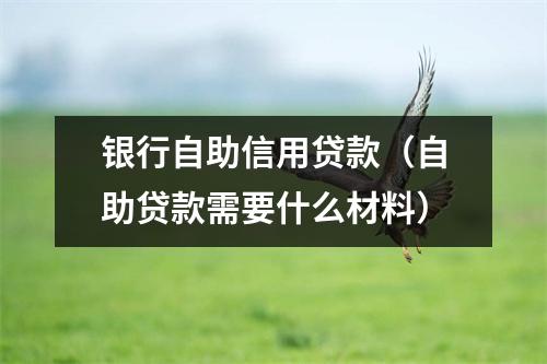银行自助信用贷款（自助贷款需要什么材料）