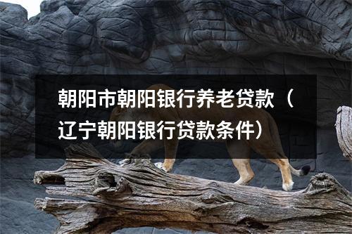 朝阳市朝阳银行养老贷款（辽宁朝阳银行贷款条件）