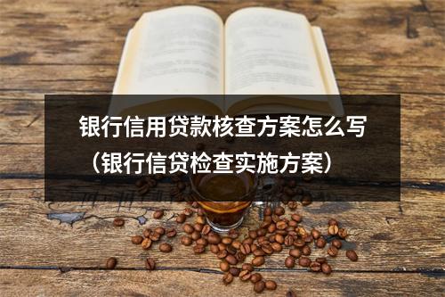 银行信用贷款核查方案怎么写(银行信贷检查实施方案)