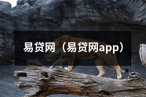 易贷网（易贷网app）