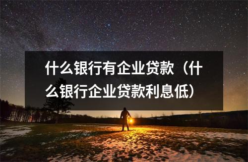 什么银行有企业贷款（什么银行企业贷款利息低）