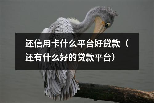 还信用卡什么平台好贷款（还有什么好的贷款平台）