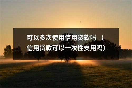 可以多次使用信用贷款吗 （信用贷款可以一次性支用吗）