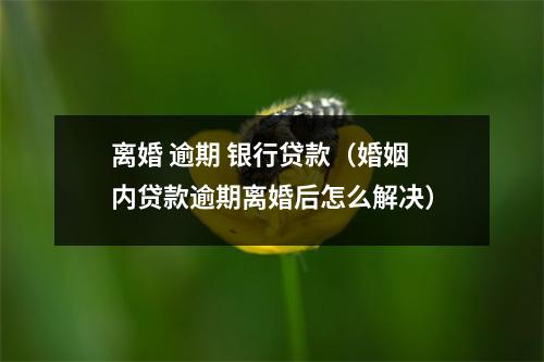 离婚 逾期 银行贷款（婚姻内贷款逾期离婚后怎么解决）