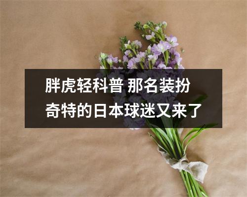 胖虎轻科普 那名装扮奇特的日本球迷又来了