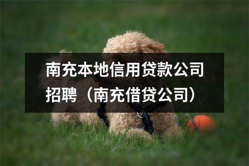 南充本地信用贷款公司招聘（南充借贷公司）