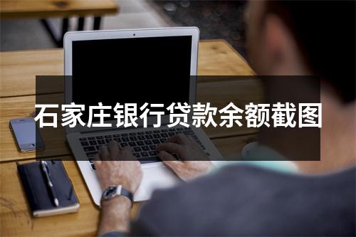 石家庄银行贷款余额截图