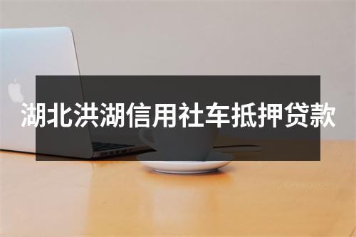 湖北洪湖信用社车抵押贷款