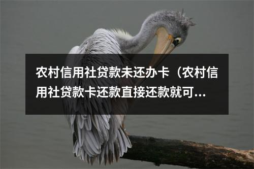 农村信用社贷款未还办卡（农村信用社贷款卡还款直接还款就可以吗）
