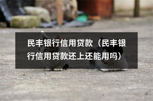 民丰银行信用贷款（民丰银行信用贷款还上还能用吗）