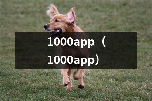 1000app(1000app)