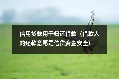 信用贷款用于归还借款(借款人的还款意愿是信贷资金安全)