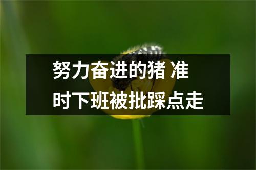 努力奋进的猪 准时下班被批踩点走