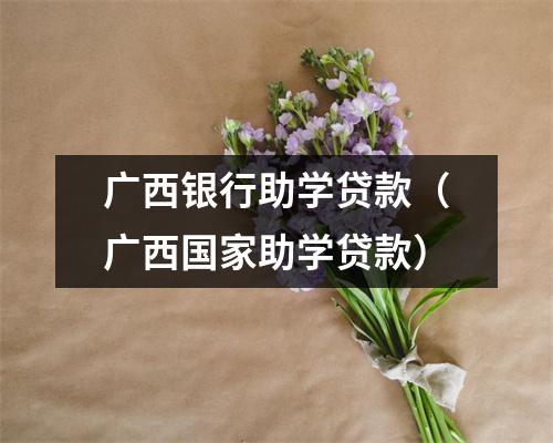 广西银行助学贷款（广西国家助学贷款）