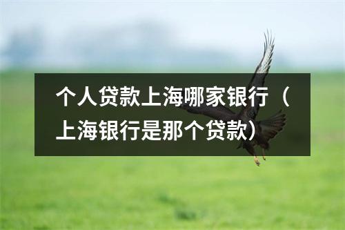 个人贷款上海哪家银行（上海银行是那个贷款）