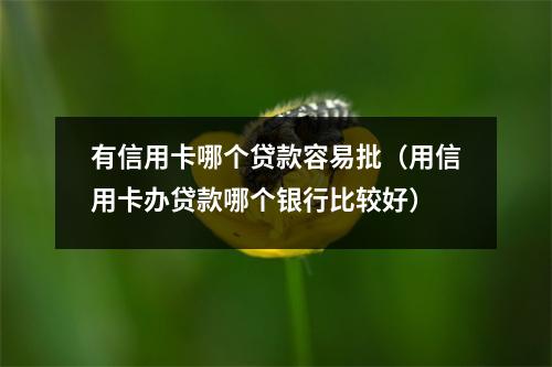 有信用卡哪个贷款容易批（用信用卡办贷款哪个银行比较好）