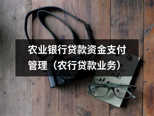 农业银行贷款资金支付管理（农行贷款业务）