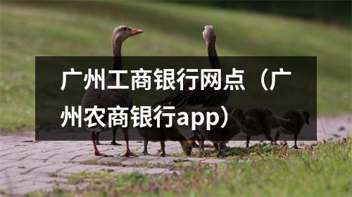 广州工商银行网点(广州农商银行app)
