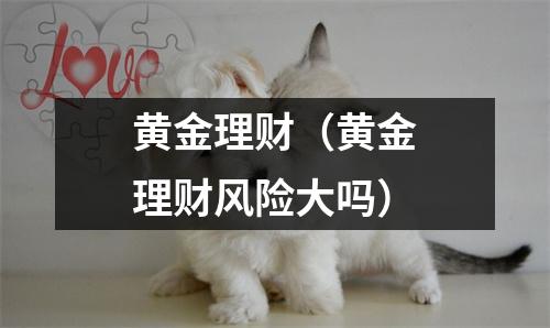 黄金理财（黄金理财风险大吗）
