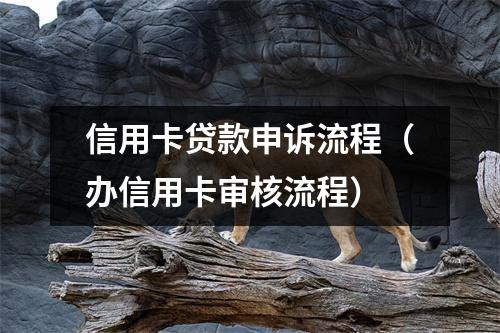 信用卡贷款申诉流程（办信用卡审核流程）