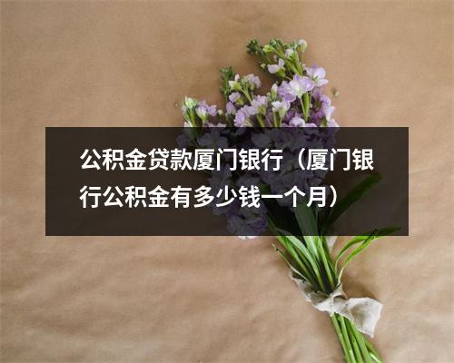 公积金贷款厦门银行（厦门银行公积金有多少钱一个月）