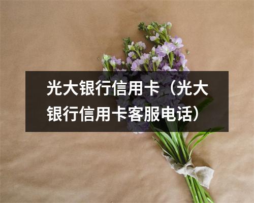 光大银行信用卡（光大银行信用卡客服电话）