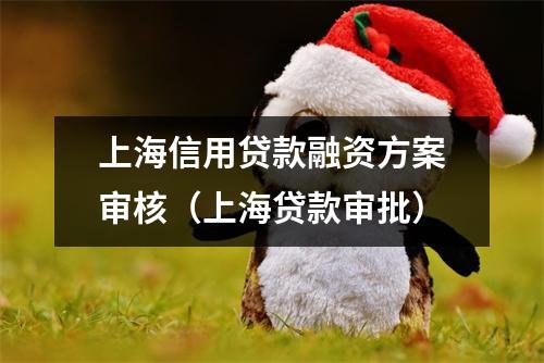 上海信用贷款融资方案审核（上海贷款审批）
