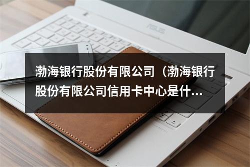 渤海银行股份有限公司（渤海银行股份有限公司信用卡中心是什么平台）