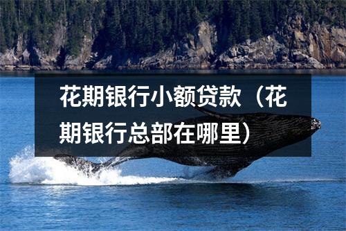 花期银行小额贷款（花期银行总部在哪里）