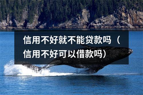 信用不好就不能贷款吗（信用不好可以借款吗）