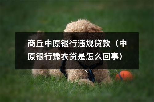 商丘中原银行违规贷款（中原银行豫农贷是怎么回事）