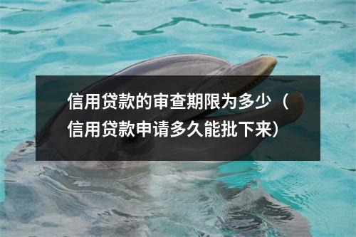 信用贷款的审查期限为多少（信用贷款申请多久能批下来）
