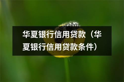 华夏银行信用贷款（华夏银行信用贷款条件）