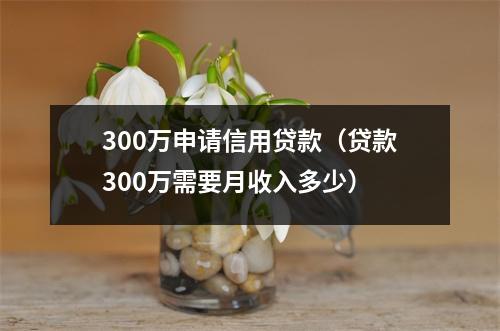300万申请信用贷款（贷款300万需要月收入多少）