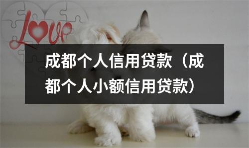 成都个人信用贷款（成都个人小额信用贷款）